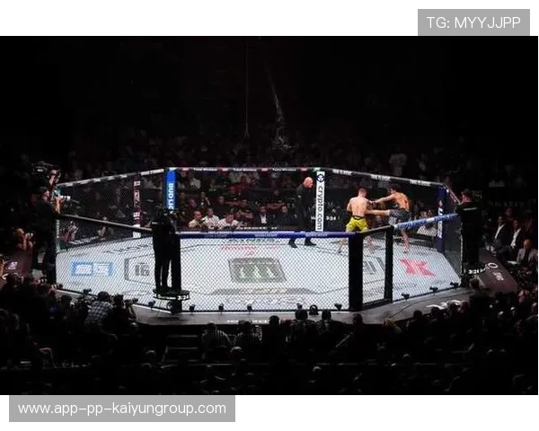 格斗UFC：顶级对决燃爆擂台，火花不断！，ufc综合格斗视频